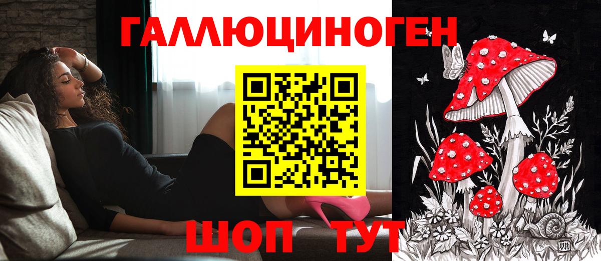 Псилоцибиновые грибы прущие грибы Сочи